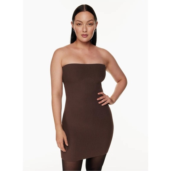 Babaton Size S Aritzia Rich Mocha Brown Sculpt Knit Ribbed Tube Mini Dress - Picture 1 of 7